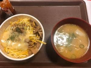 すき家 155号津島店
