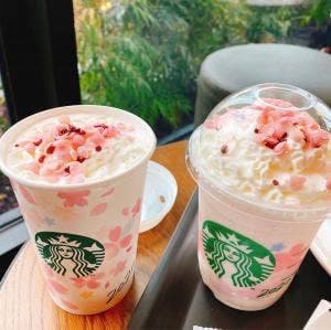 スターバックス コーヒー 八戸城下店