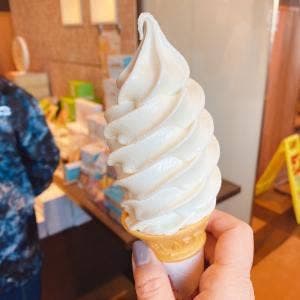 ROYCE' ロイズ 東苗穂店