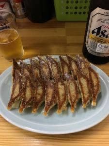 餃子専門店 新進