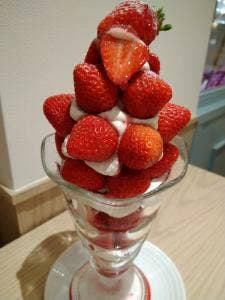 ARROW TREE 芦屋モンテメール店