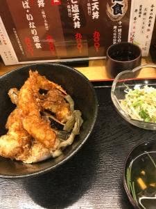わか馬