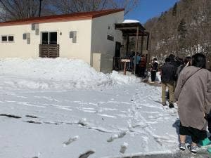 ヴェルジネバッカーノ