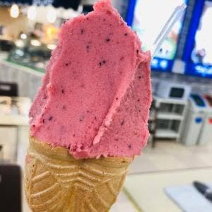 ジェラートトリノ 喜ね舎店