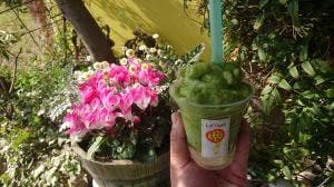 糸島パッションフルーツ工房 La'Puni