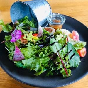 Cafe and restaurant HUTTE