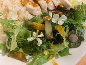 Earth Cafe & Deli