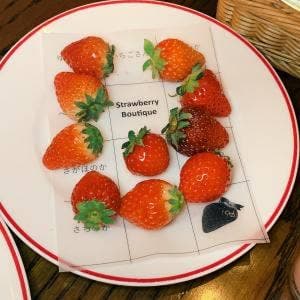 フレンチビストロ ル・ドール