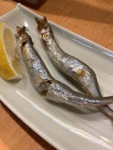 魚河岸 ふじ乃や