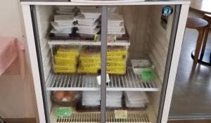 工場レストラン健食たぬみせ