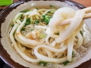 手打ちうどん えびす