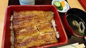 うなぎ 蒲焼 千寿