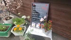 CORA カフェ