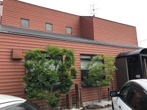 茶坊主
