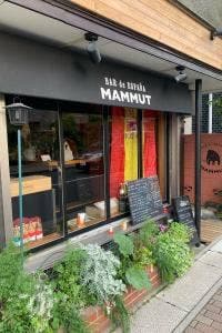 MAMMUTO