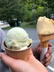 グリーンフィールド西城