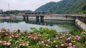 津久井湖観光センター