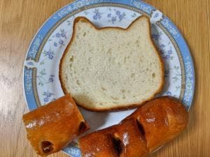 ねこねこ食パン 伊勢原店