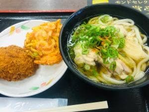 セルフうどん あなぶき家 津田の松原SA 上り線うどんコーナー