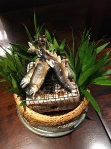 ひろしま八雲