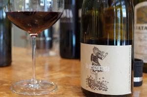 salvis wine&records