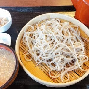 手打蕎麦 和の里