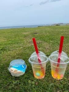 海カフェ たねさし