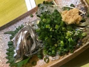 居酒屋 新谷