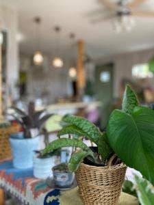 Cafe de noel