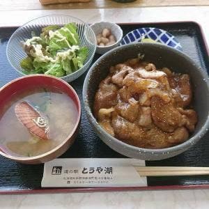道の駅とうや湖