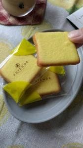 アンテノール 天満屋岡山店