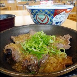 吉野家 羊ケ丘通清田店