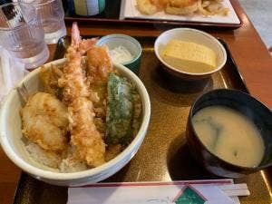 天丼たなぼ