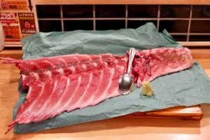 マグロ大使