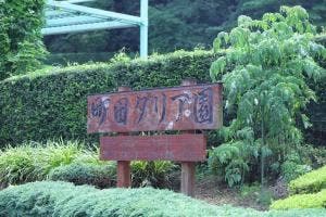 町田ダリア園 休憩所木花