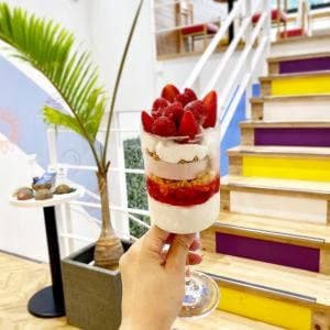 ココナッツグレン 表参道店