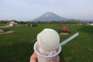 ニセコ髙橋牧場 ミルク工房