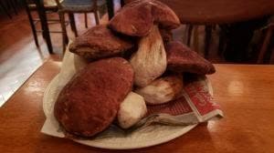 antica osteria BACIO