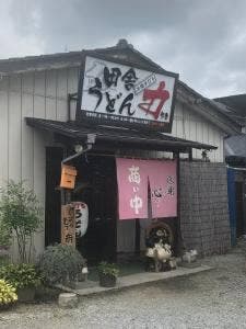 田舎うどん 力