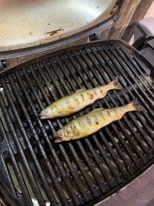京都マルシェBBQ