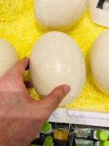 道の駅あさひまち りんごの森 軽食コーナー