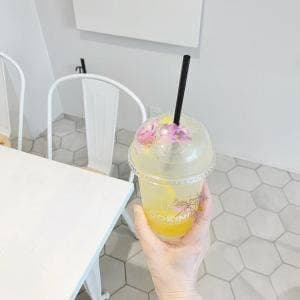 COFFEE&DOG LUSH LIFE