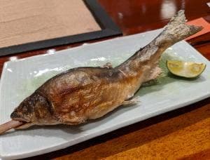 祖谷渓温泉ホテル 秘境の湯