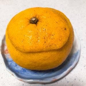 春泰堂 松山古川店