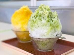 枚方凍氷
