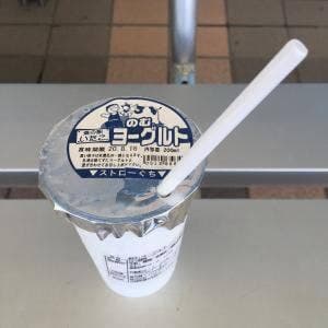道の駅いたこ