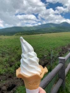 牛乳専科もうもう