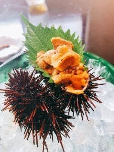 旬魚たつみ 岩美本店