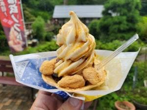 道の駅南きよさと