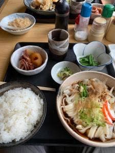 丸岡うどん